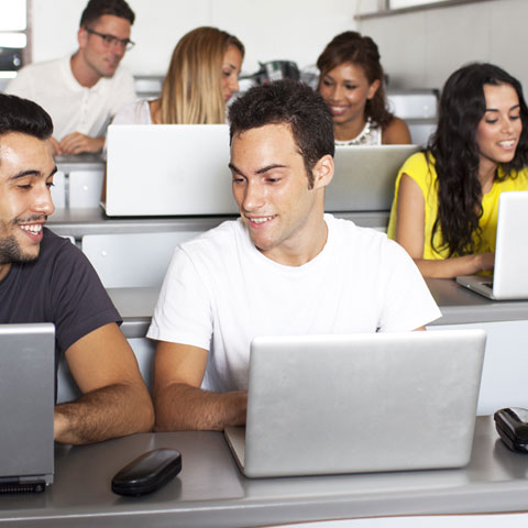 Students studying in a university